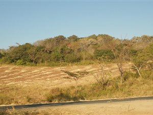 5.8 ha Farm in Mtwalume