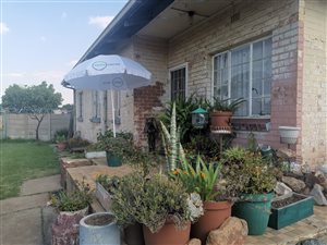 3 Bed House in Leeuhof