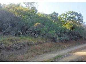 1261 m² Land available in East London Central
