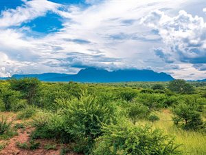 Game Farm in Hoedspruit