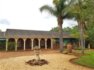 8 ha Farm in Baskoppie
