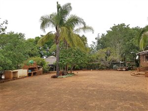 8 ha Farm in Baskoppie