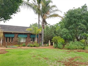 8 ha Farm in Baskoppie