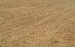 130 ha Farm in Pretoria West