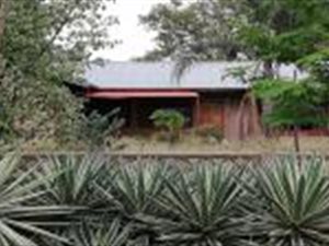 3 Bed House in Phalaborwa