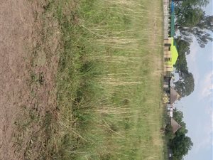 13 ha Land available in Putfontein