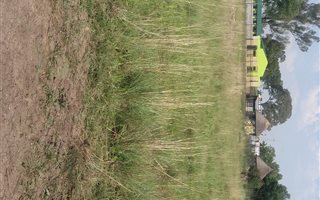 13 ha Land available in Putfontein