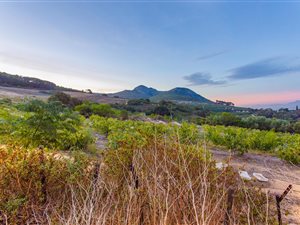 850 m² Land available in Courtrai