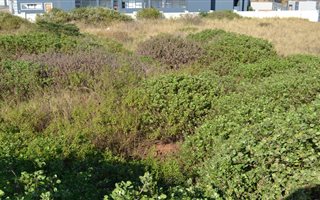 Commercial space in Ballito