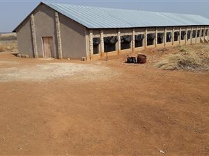 31 ha Farm in De Wagendrif