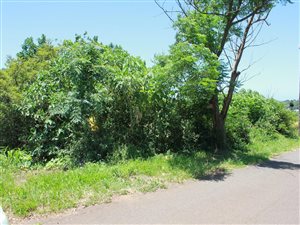 1225 m² Land available in Saiccor
