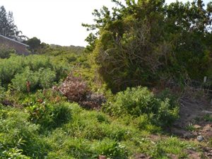 1180 m² Land available in Sunrise on Sea