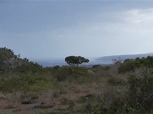546 ha Farm in Stilbaai