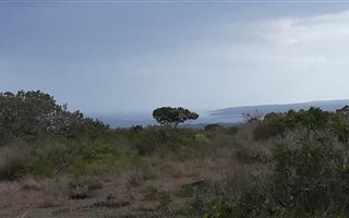 546 ha Farm in Stilbaai
