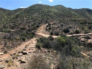 6 ha Farm in Calitzdorp