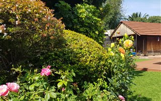 3 Bedroom House in Newlands