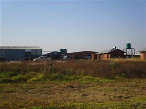 10.5 ha Farm in Bapsfontein