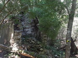 2.1 ha Land available in Harkerville