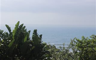 1843 m² Land available in Trafalgar