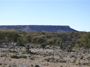 2995.3 ha Farm in Douglas