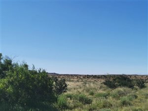 4301 ha Farm in Merweville