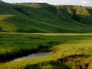 140 ha Farm in Vulintaba Country Estate