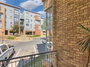 1 Bed Apartment in Houghton Estate