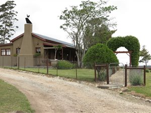 32 ha Farm in Gouna