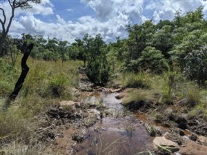 45 ha Farmland in Vaalwater