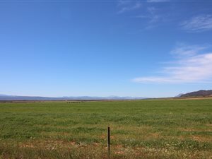 905 m² Land available in Redelinghuys