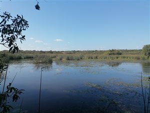 64.8 ha Farm in Empangeni
