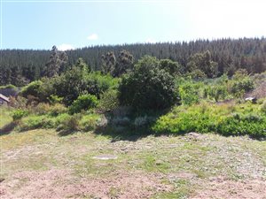 565 m² Land available in Sedgefield
