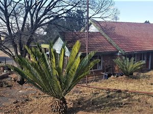 8.6 ha Farm in Vereeniging