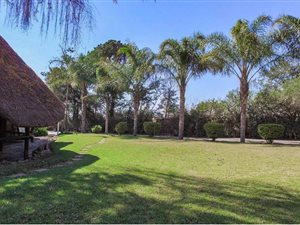 8.5 ha Farm in Glen Austin