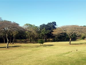 558 m² Land available in Pennington