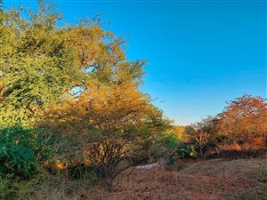 2400 m² Land available in Hoedspruit