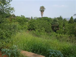 443 m² Land available in Wonderboom
