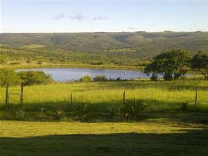 324 ha Farm in Grahamstown