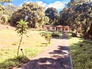 3 Bedroom House in Cowies Hill