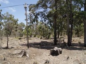 2 ha Land available in Greenbushes