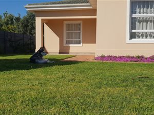 3 Bed House in Somerset West Central