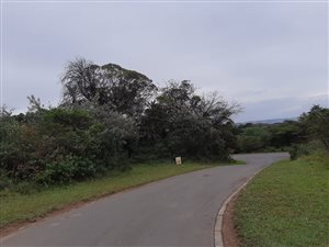 990 m² Land available in Cintsa