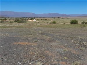 1575 ha Farm in Calvinia