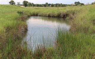 56 ha Farm in Zwavelpoort