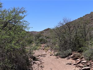 987 ha Farm in Oudtshoorn