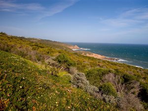 2951 m² Land available in Herolds Bay