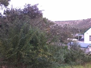 595 m² Land available in Groenvallei