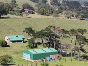 96 ha Farm in Coastal Suburbs