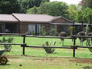 2.1 ha Land available in Bapsfontein