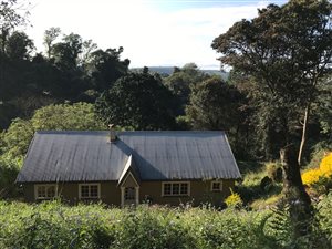 3 Bed House in Hilton